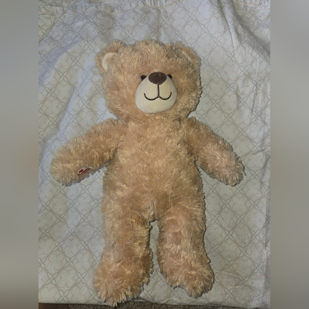 Build a Bear teddy